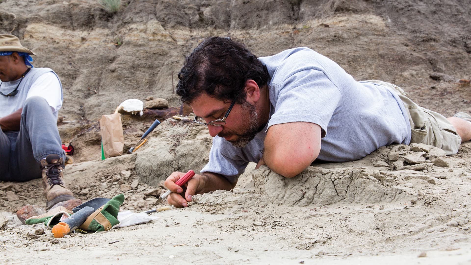 The Last American Dinosaurs